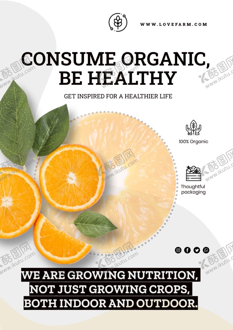 编号：95035210021730217822【酷图网】源文件下载-果蔬海报