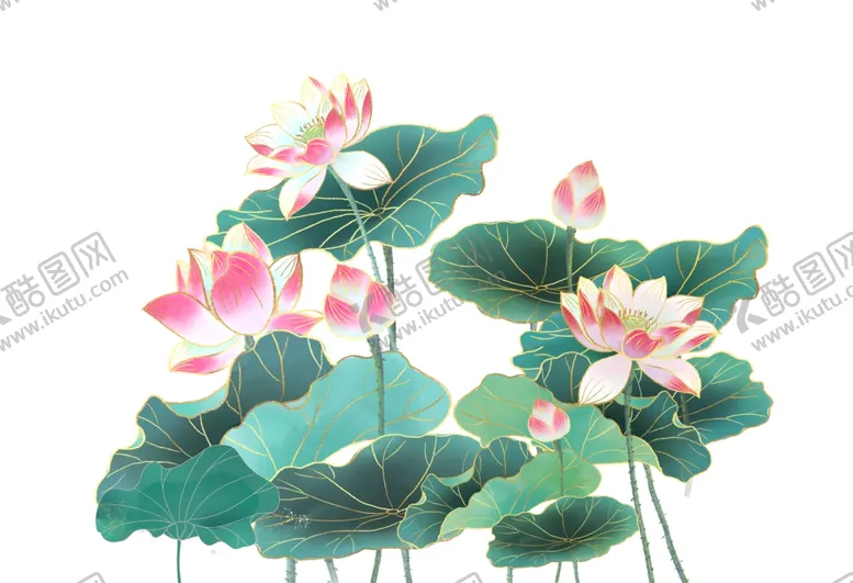 编号：53952912040013348908【酷图网】源文件下载-荷花