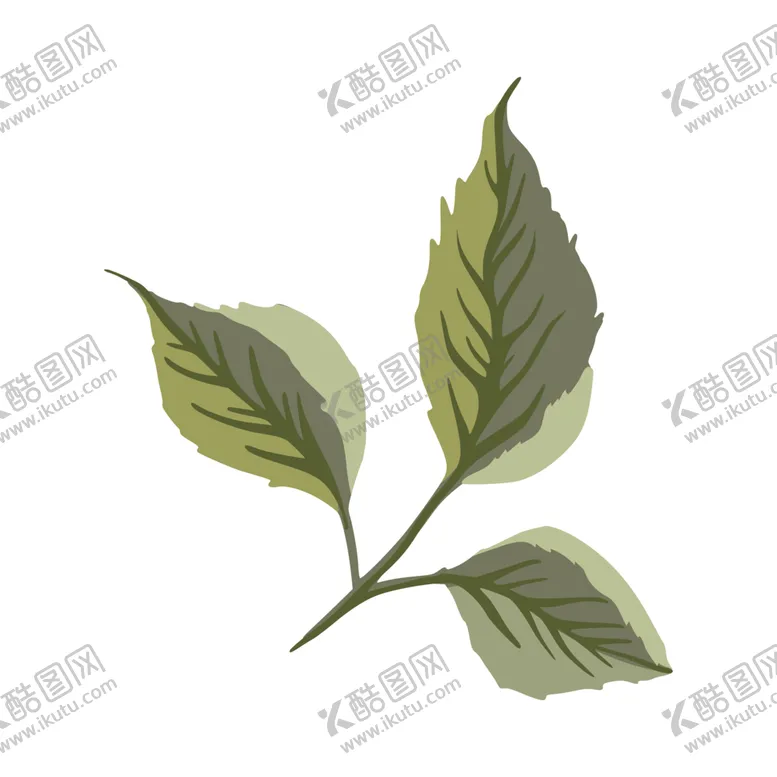 编号：10917007050916041923【酷图网】源文件下载-绿色枝叶