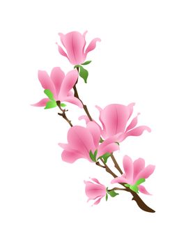 梅花素材