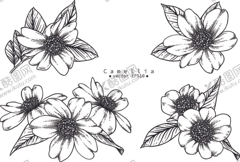 编号：72089709281110291363【酷图网】源文件下载-花卉花蕊