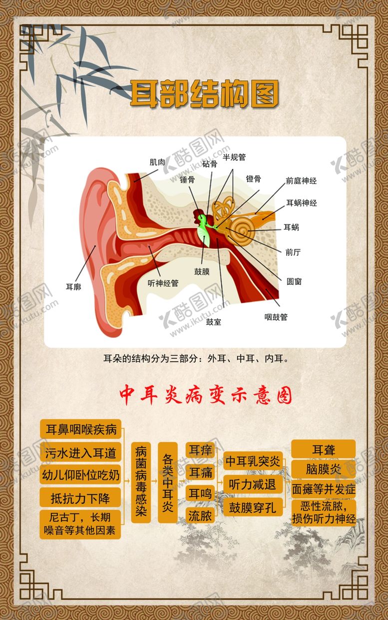 编号：47279409242143332940【酷图网】源文件下载-耳部结构图