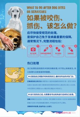 狂犬病展架