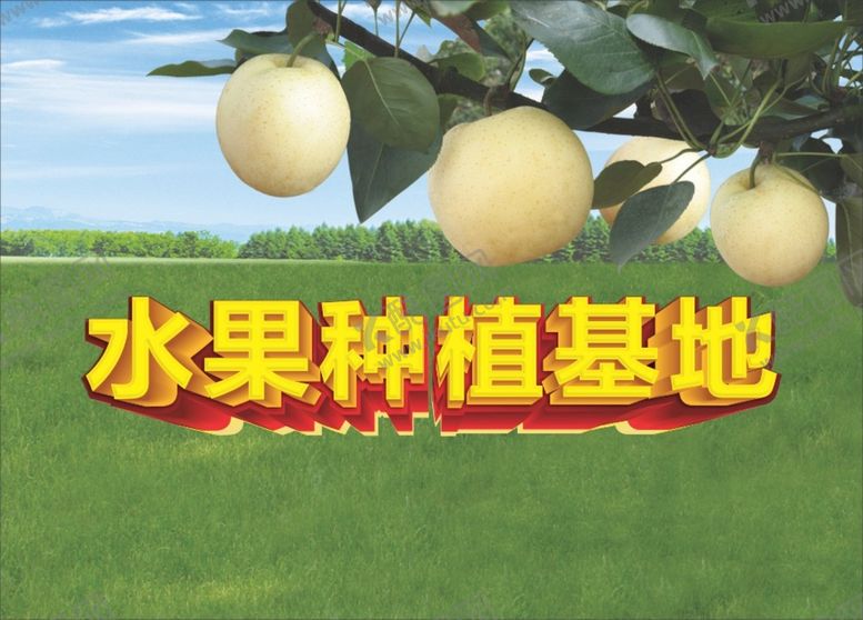 编号：71412501291303301532【酷图网】源文件下载-水果种植基地