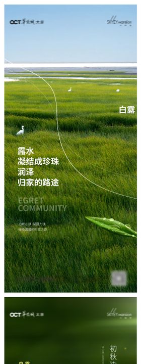 白露系列海报