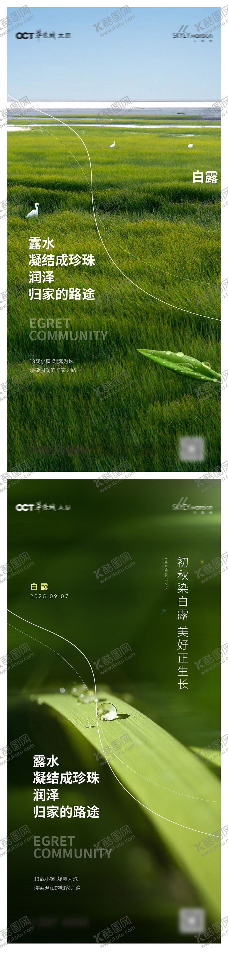 编号：38716209010920425207【酷图网】源文件下载-白露系列海报
