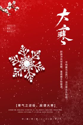 24节气创意海报大寒海报