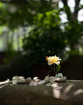 风景照