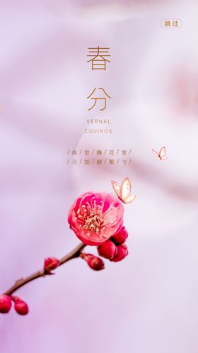 春分节气海报