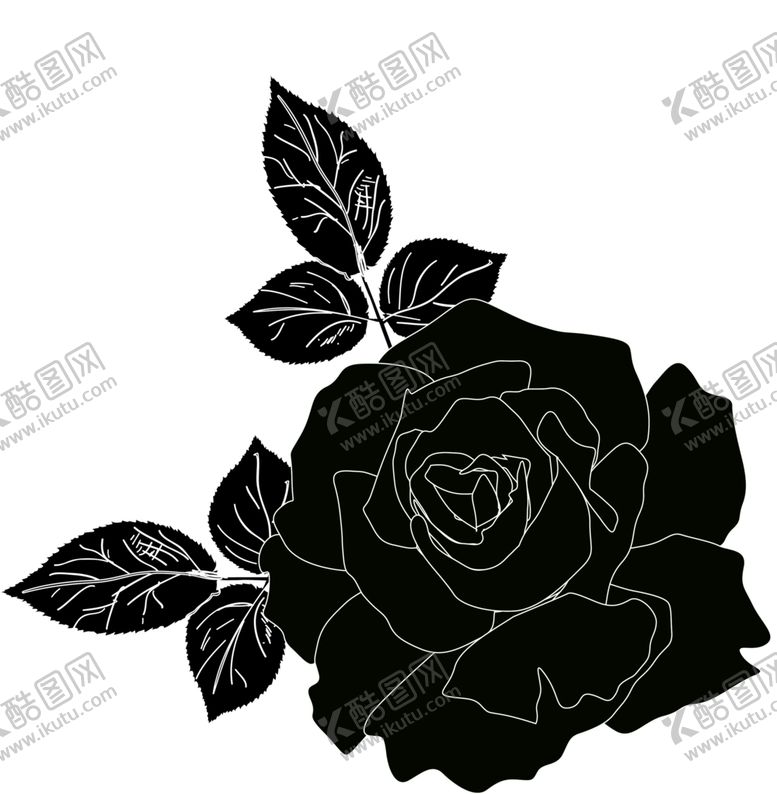 编号：17725006270809456617【酷图网】源文件下载-花素材