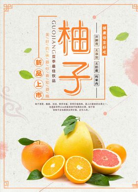 柚子海报图片