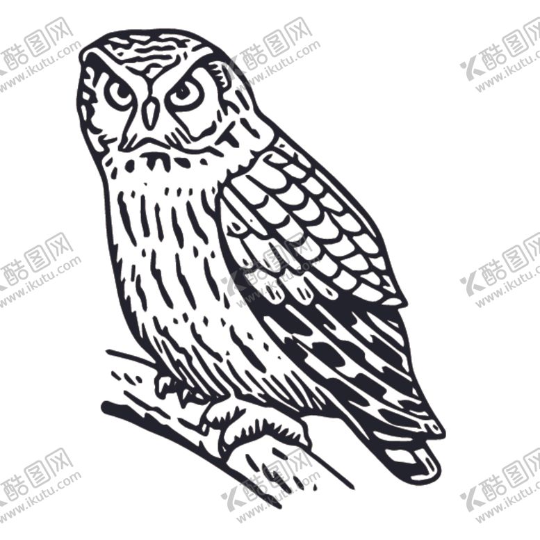 编号：73344309160025281431【酷图网】源文件下载-飞鸟线稿绘画图案