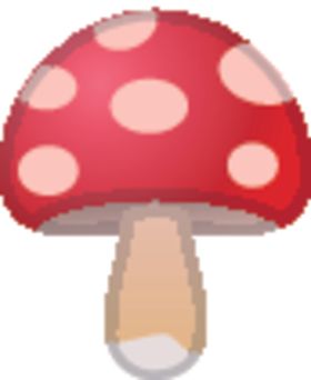 香菇
