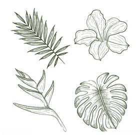 线条矢量手绘花草