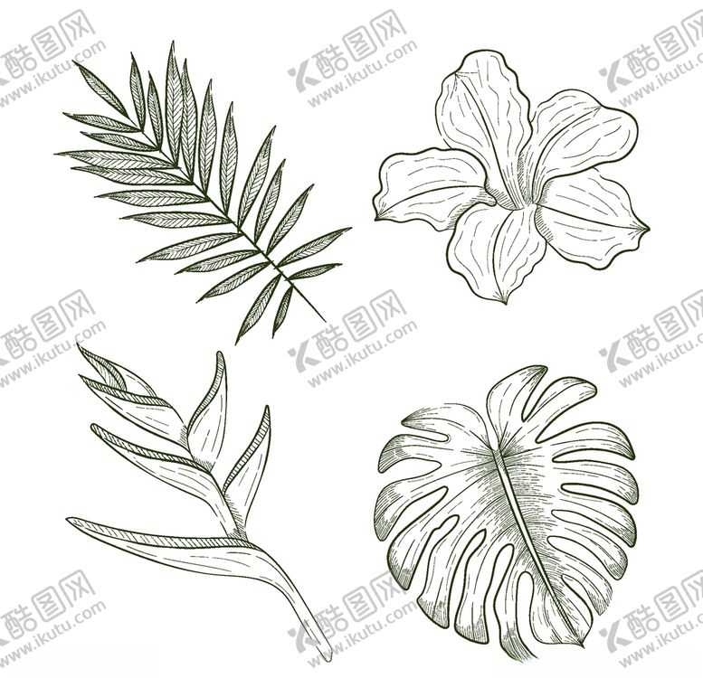 编号：87247507060914439965【酷图网】源文件下载-线条矢量手绘花草