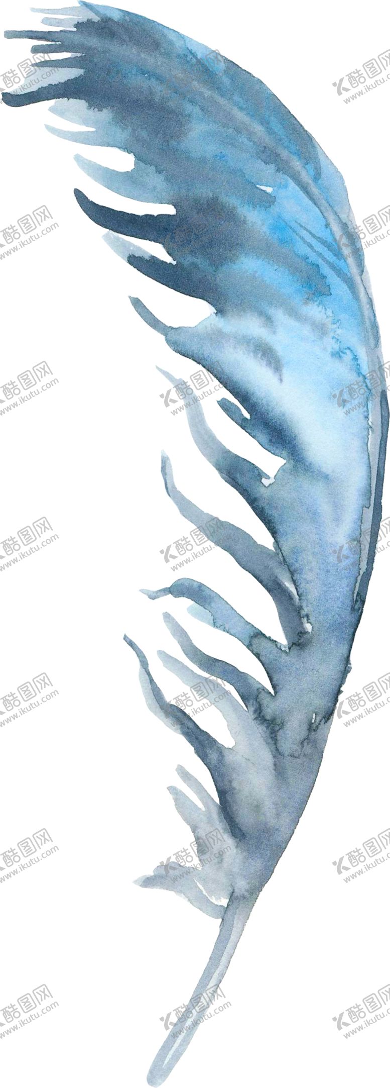 编号：82207901291935333268【酷图网】源文件下载-羽毛素材