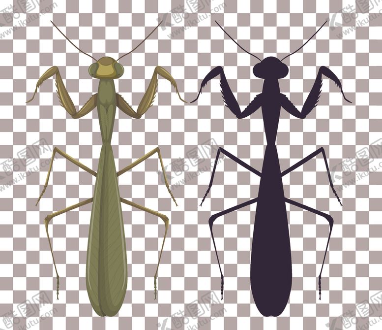 编号：86671709091209403176【酷图网】源文件下载-卡通昆虫