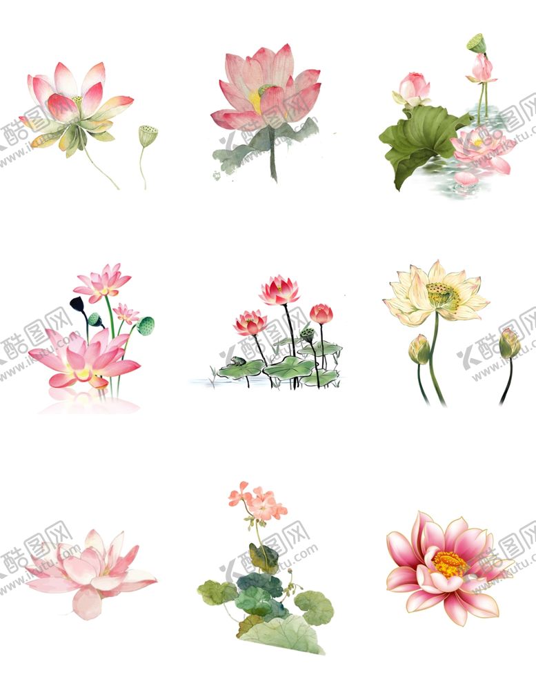 编号：86584801301609027639【酷图网】源文件下载-荷花