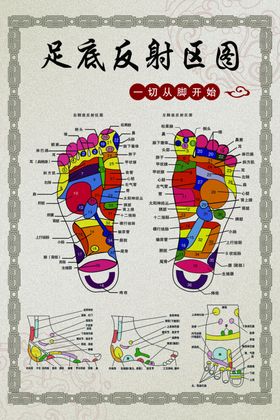 五脏六腑背部反射图