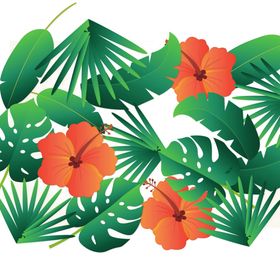 花边背景