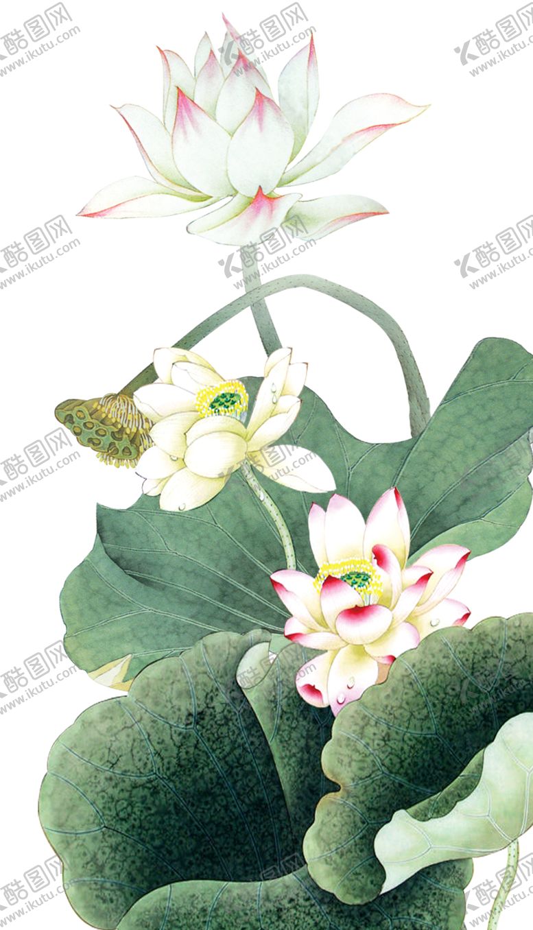 编号：56583007070518073134【酷图网】源文件下载-水墨荷花