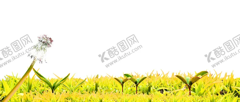 编号：32016607062022575809【酷图网】源文件下载-花边背景