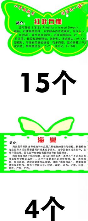 树吊牌