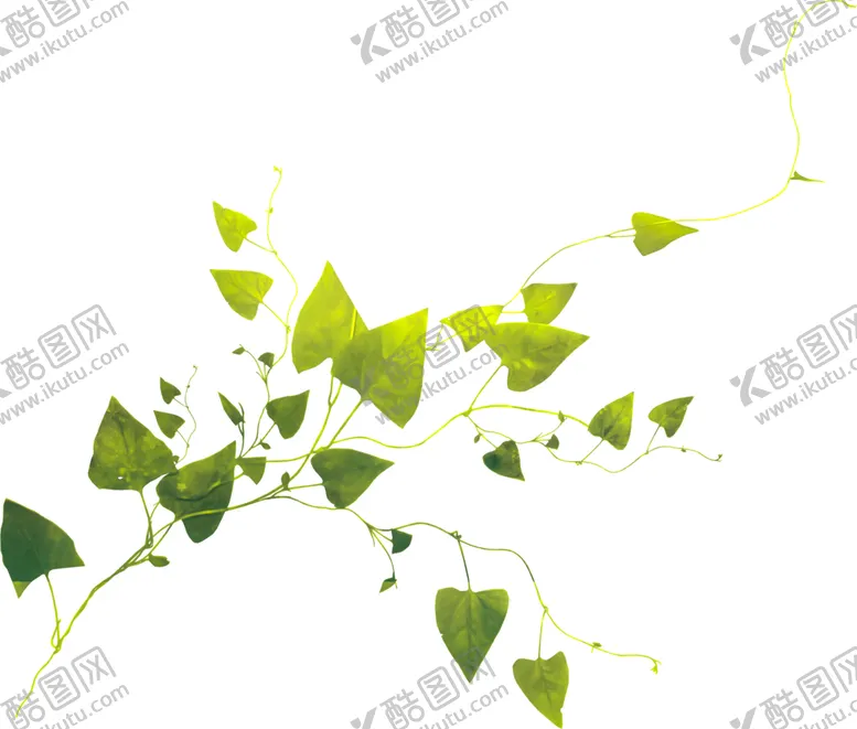 编号：40700907010255338097【酷图网】源文件下载-装饰素材