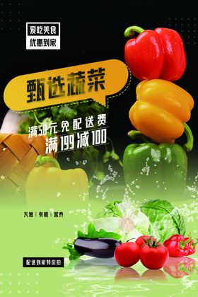 蔬菜美食宣传展板