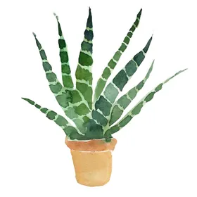 免扣植物素材图片花朵插画仙人掌绿色树木枫树