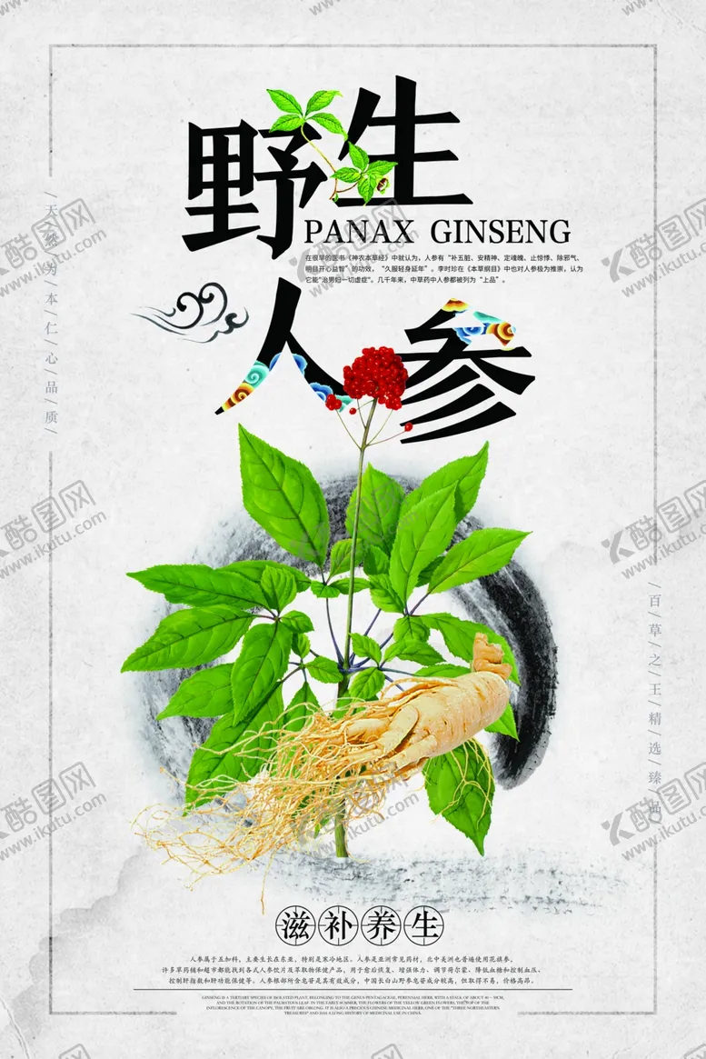 编号：24569705012118468088【酷图网】源文件下载-野生人参中药活动宣传海报素材