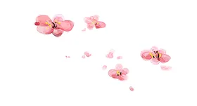 手绘粉色桃花免扣素材图片林背景剪影瓣国画