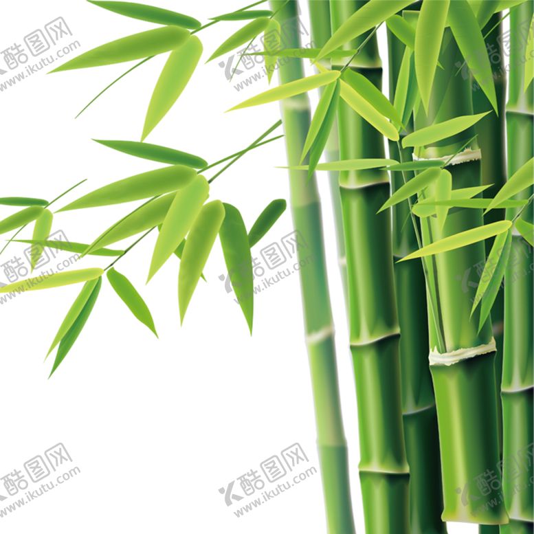 编号：94148910300032392385【酷图网】源文件下载-竹子竹叶