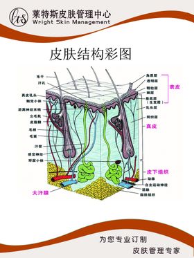 编号：89563709242017300493【酷图网】源文件下载-美容院展板