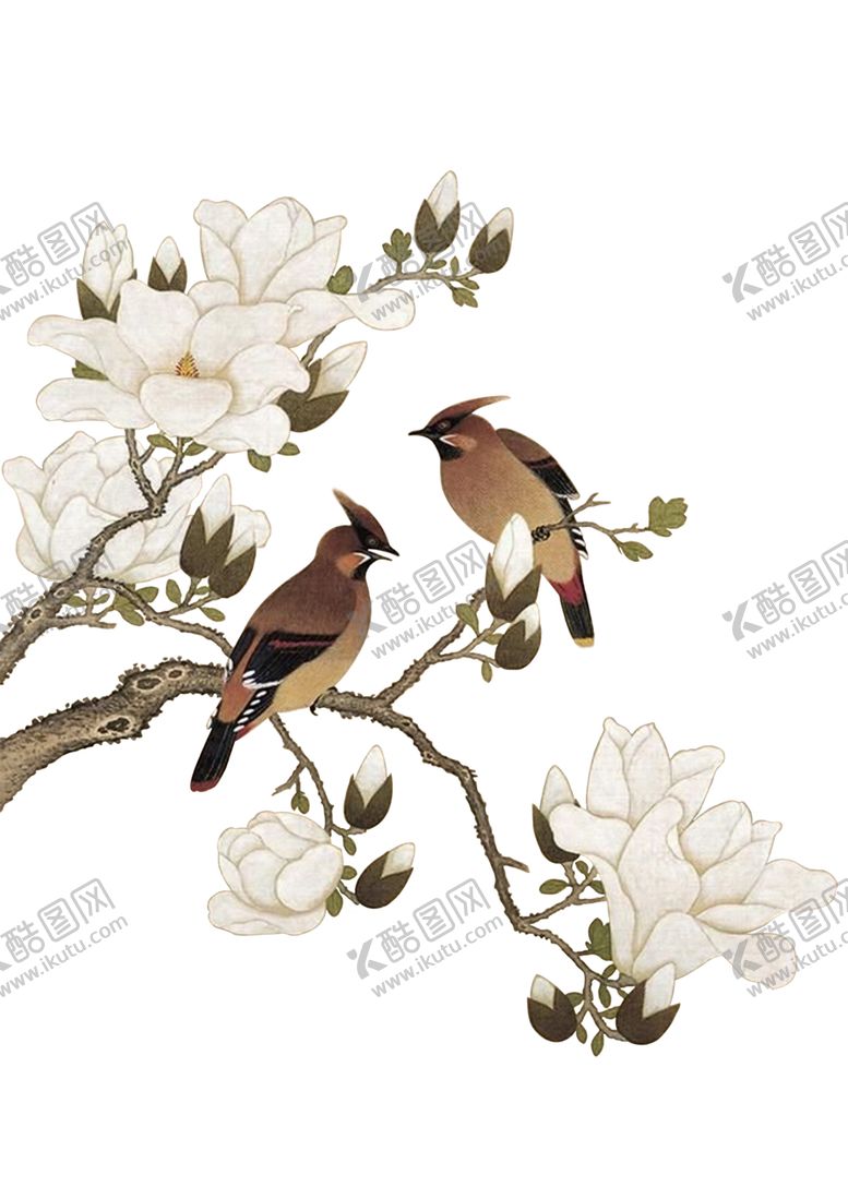 编号：76554807032303206798【酷图网】源文件下载-中国画余稺花鸟图册免抠图