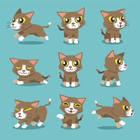 可爱小猫
