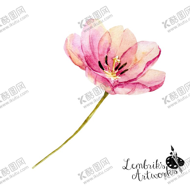 编号：86936206270650159034【酷图网】源文件下载-手绘花卉