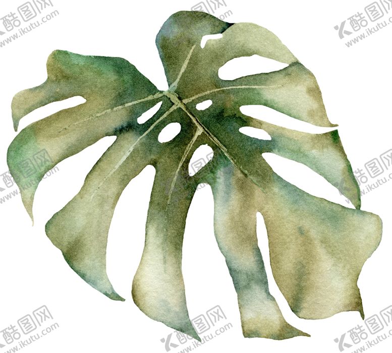 编号：12170806272306348934【酷图网】源文件下载-植物花朵装饰图案