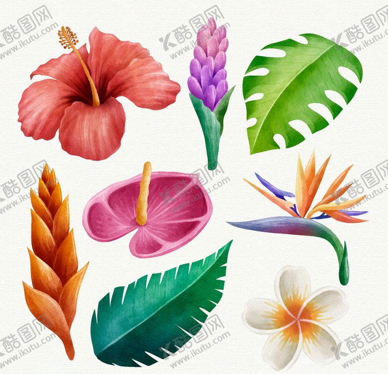 编号：23832610301025087969【酷图网】源文件下载-线条矢量手绘花草