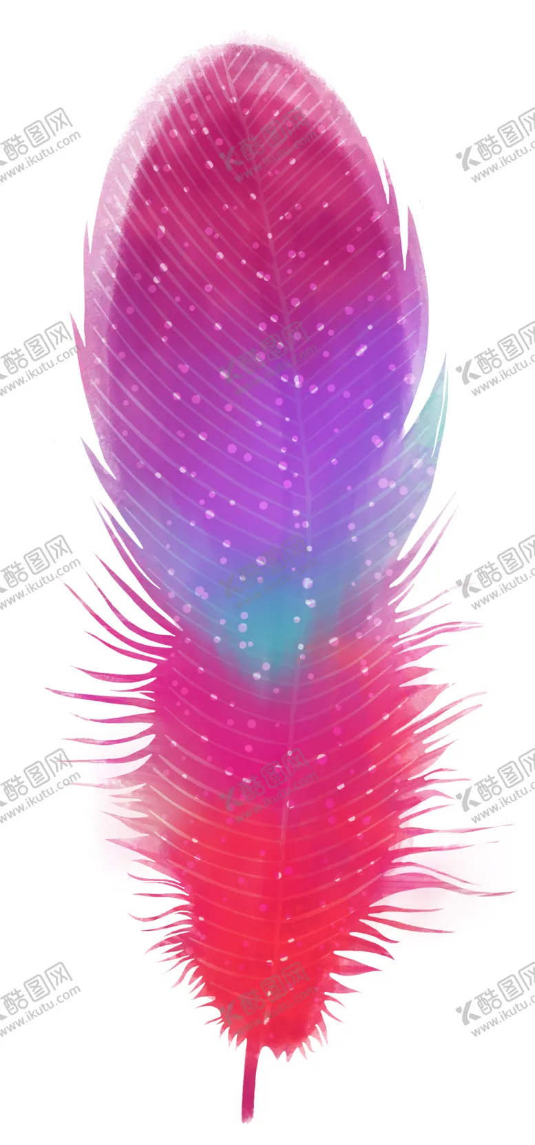编号：36682112080503028395【酷图网】源文件下载-羽毛 素材