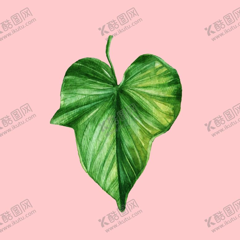 编号：92787709201816158487【酷图网】源文件下载-水彩植物