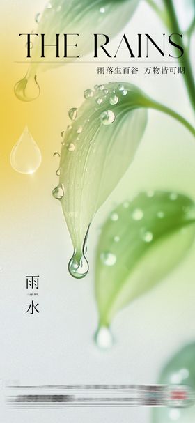 雨水节气二十四清新滴