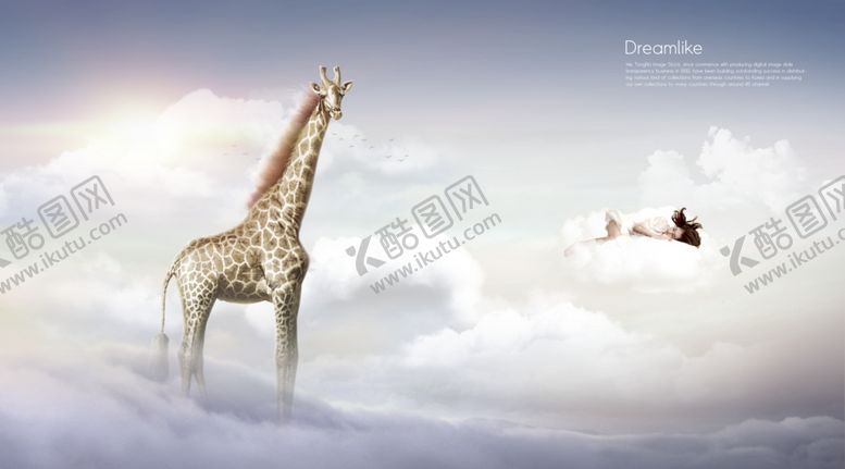 编号：99110909250615548649【酷图网】源文件下载-梦觉创意动物合成图片