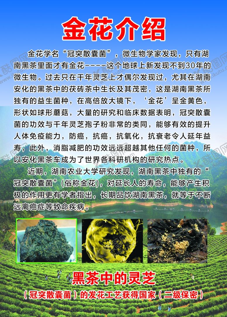 编号：18750310060641376408【酷图网】源文件下载-金花