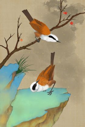 古典手绘花鸟插花
