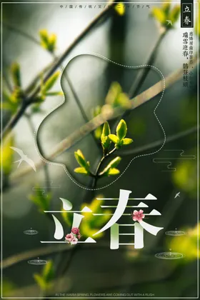 淡雅立春清新海报