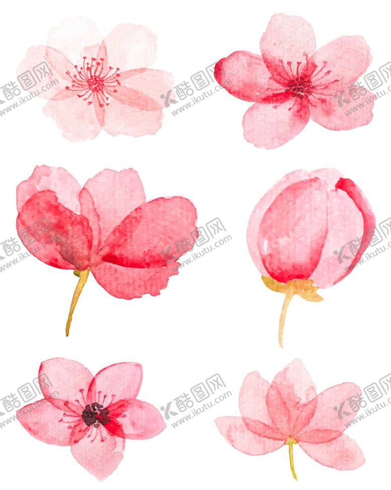 编号：46175912010416268846【酷图网】源文件下载-花朵