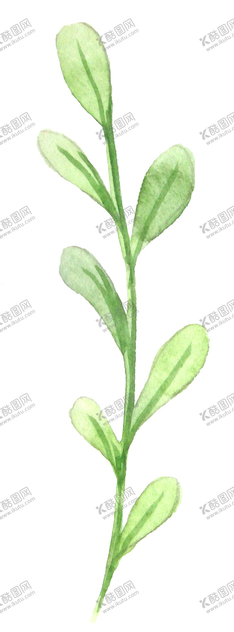 编号：36370910101333106415【酷图网】源文件下载-彩绘枝叶