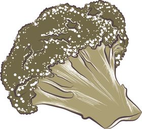 彩绘蔬菜圆形背景