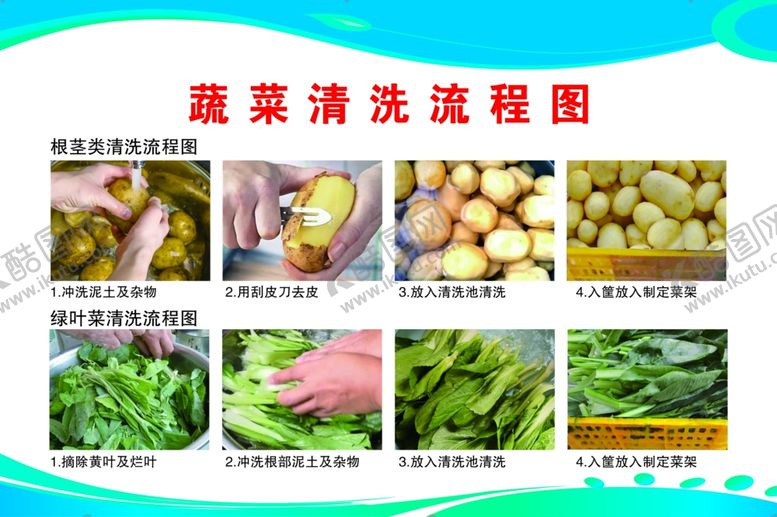 编号：53382002251924042607【酷图网】源文件下载-蔬菜清洗流程